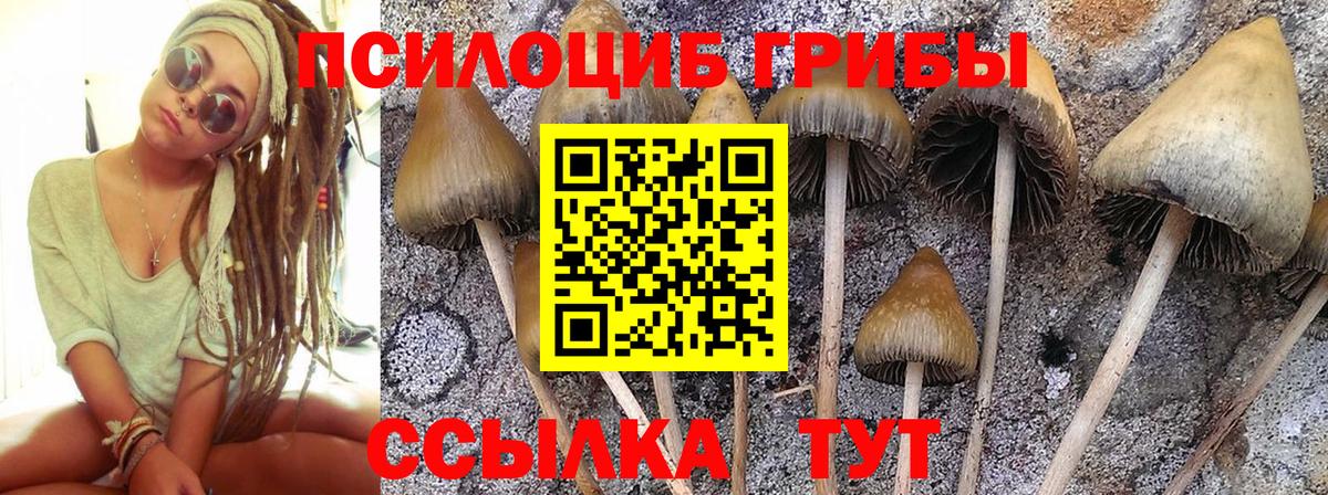Галлюциногенные грибы GOLDEN TEACHER  Вход с VPN  Балабаново 
